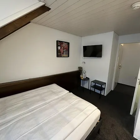 Baslertor Hotel 3*